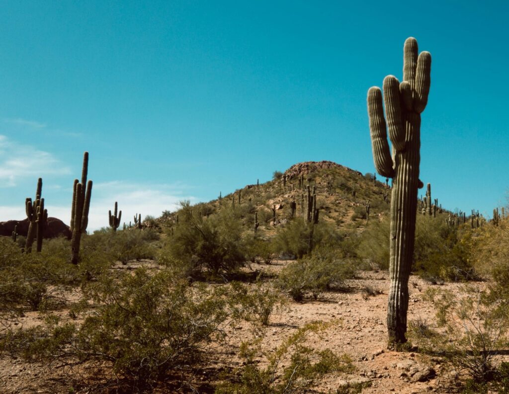 Who Can Legally Carry in Arizona Without a CCW