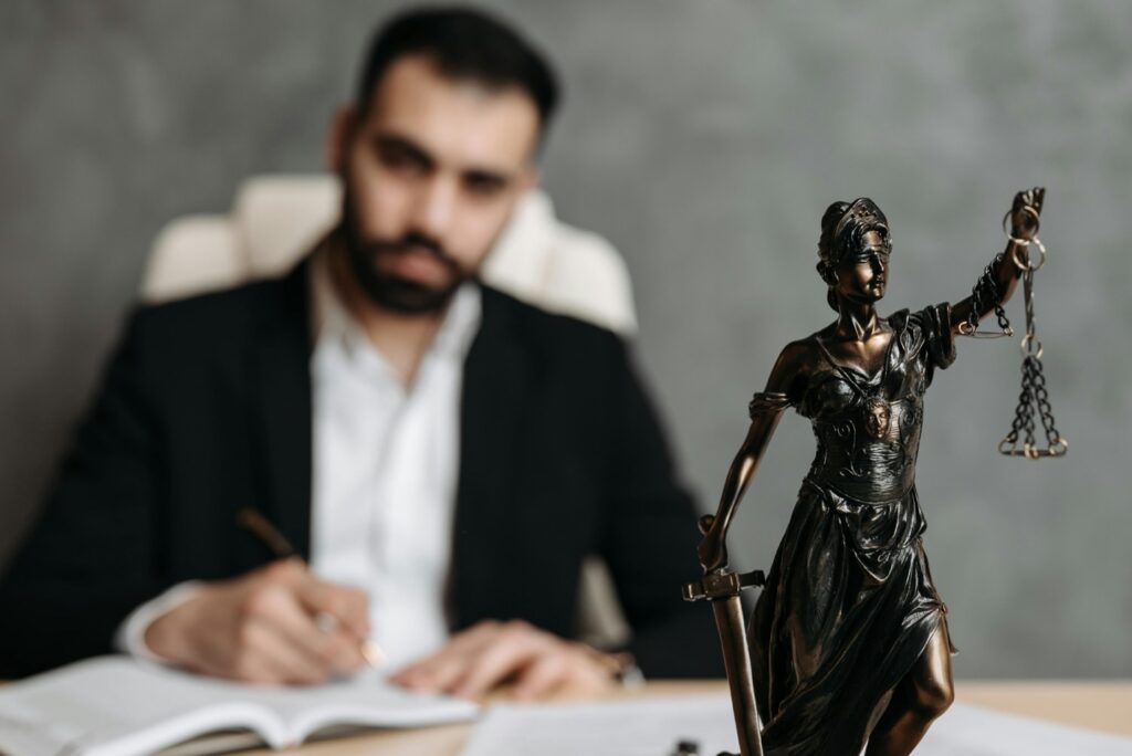  Specialized Legal Representation